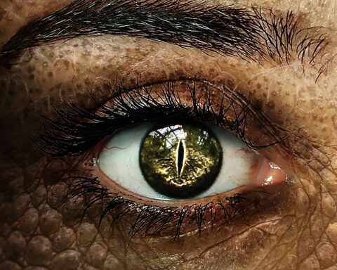 snakeman lizardman tag