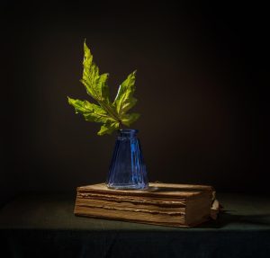 Book of Ointments by Lester Iakinth III