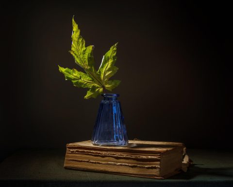 Book of Ointments by Lester Iakinth III