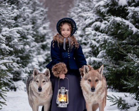 Afraid in the woods.