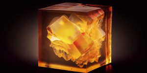 Cube of Luxurious Comfort