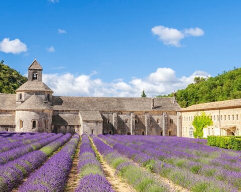 Building Your Pioneering Town in DnD 5e