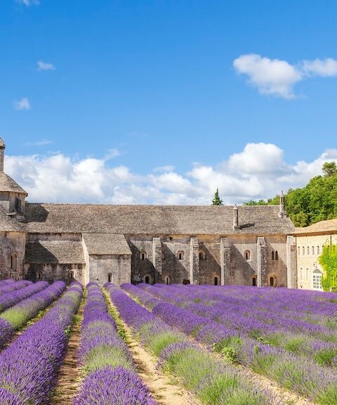 Building Your Pioneering Town in DnD 5e